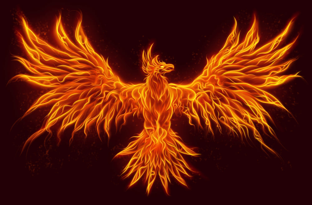 Imagem contém um pássaro de fogo, conhecido como Fênix. Texto em destaque: O que é ser Robusto? 